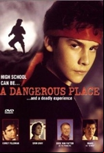 A Dangerous Place