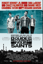 A Guide to Recognizing Your Saints