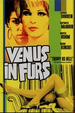 Venus in Furs