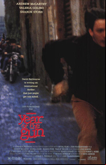 Year of the Gun